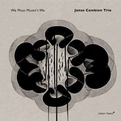 WE MUST MUSTN’T WE (LP)