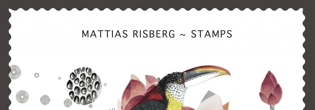 Salt Peanuts | Mattias Risberg – Stamps
